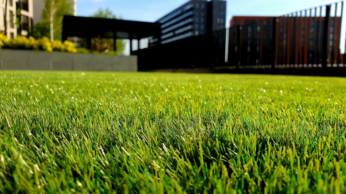 Freshly mown lawn
